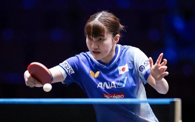 体系所导致 体系所导致